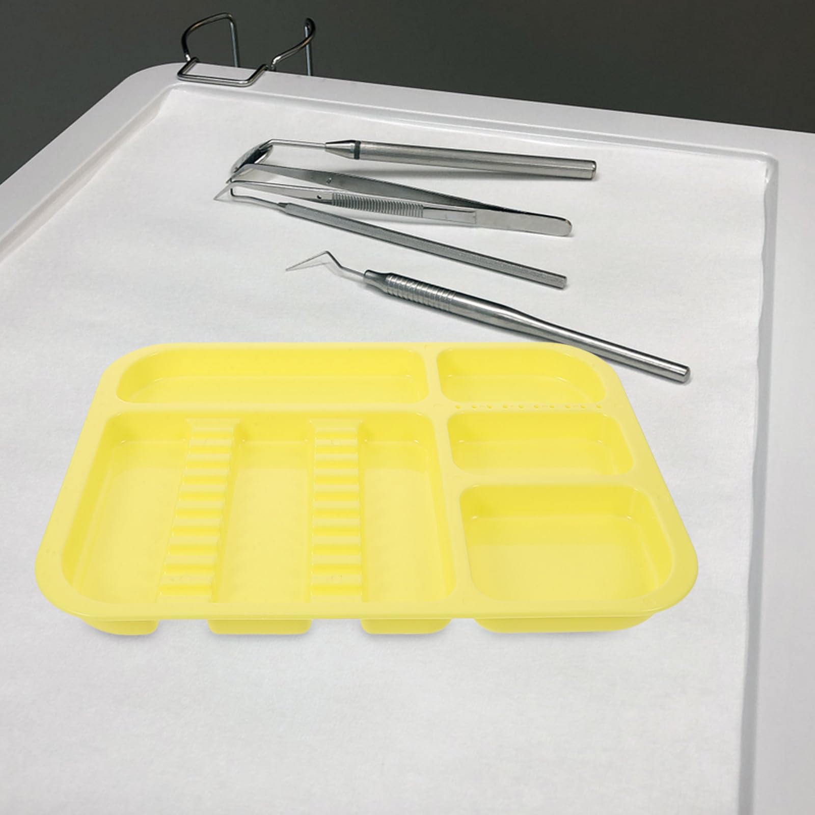 Plateaux Compartimentés Organisateur Polyvalent et Élégant en Plastique Pp Lot de 2 pour Instruments pour Rangement et Conservation