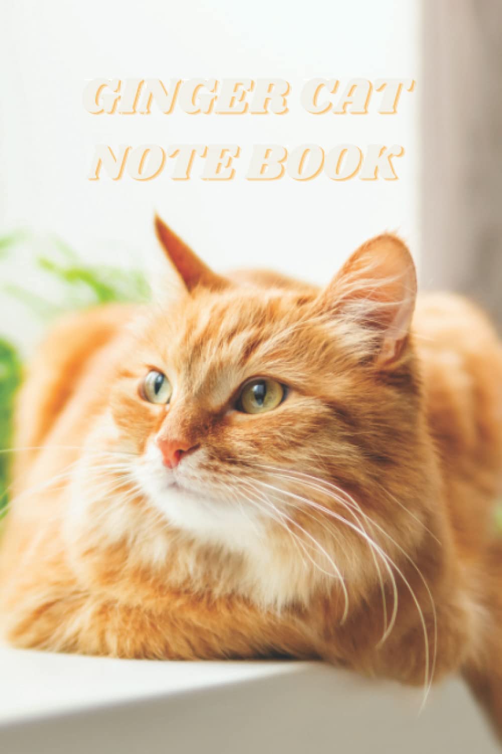 Ginger Cat NoteBook: Lovely cat notebook