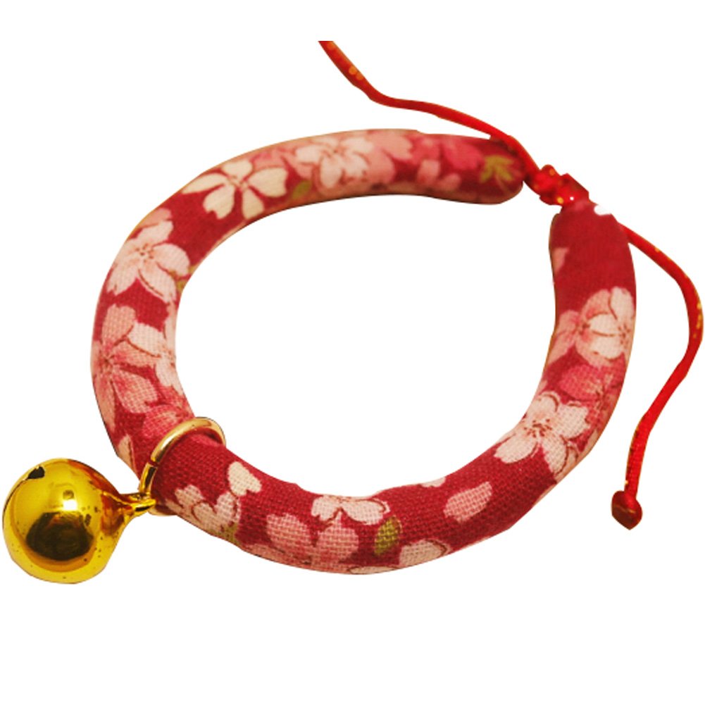 Collar para gato ideal para fotos en casa y paseos protegidos