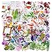 100 Stück Vintage Pflanzen Aufkleber Set, PET Transparente Scrapbooking Stickers, Wasserdichte Blume, Farn, Pilz, Schmetterling, Text Aufkleber für Tagebuch, Album, Handyhülle,Kartenherstellung