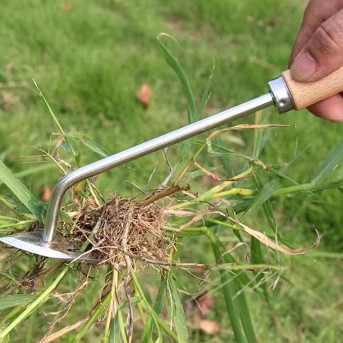 ibasenice 4 Stück Jäten -Werkzeuge abnehmbarer Abzieher Handabzieher handhaben entwurzeln Handbuch Rasenkanten Wurzelheber Unkraut Werkzeug Gartenwerkzeug Jäter hölzern