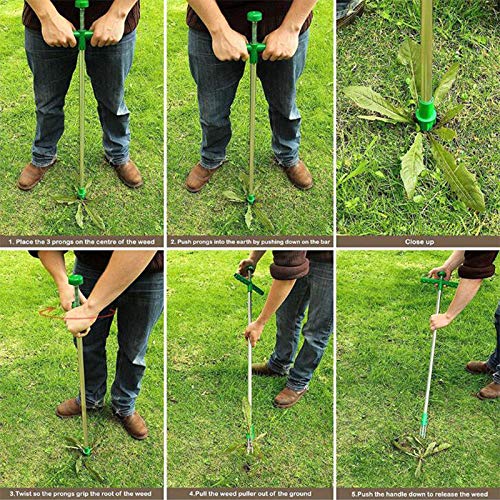 Manual Weeder, Stand-up Weeder with 3 Claws ,Hand Weeder Gardening Tool Stainless Steel.