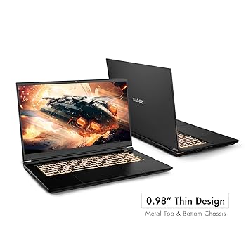 Amazon.com: Sager 2023 NP8875D Gaming Laptop, 17.3 Inch QHD