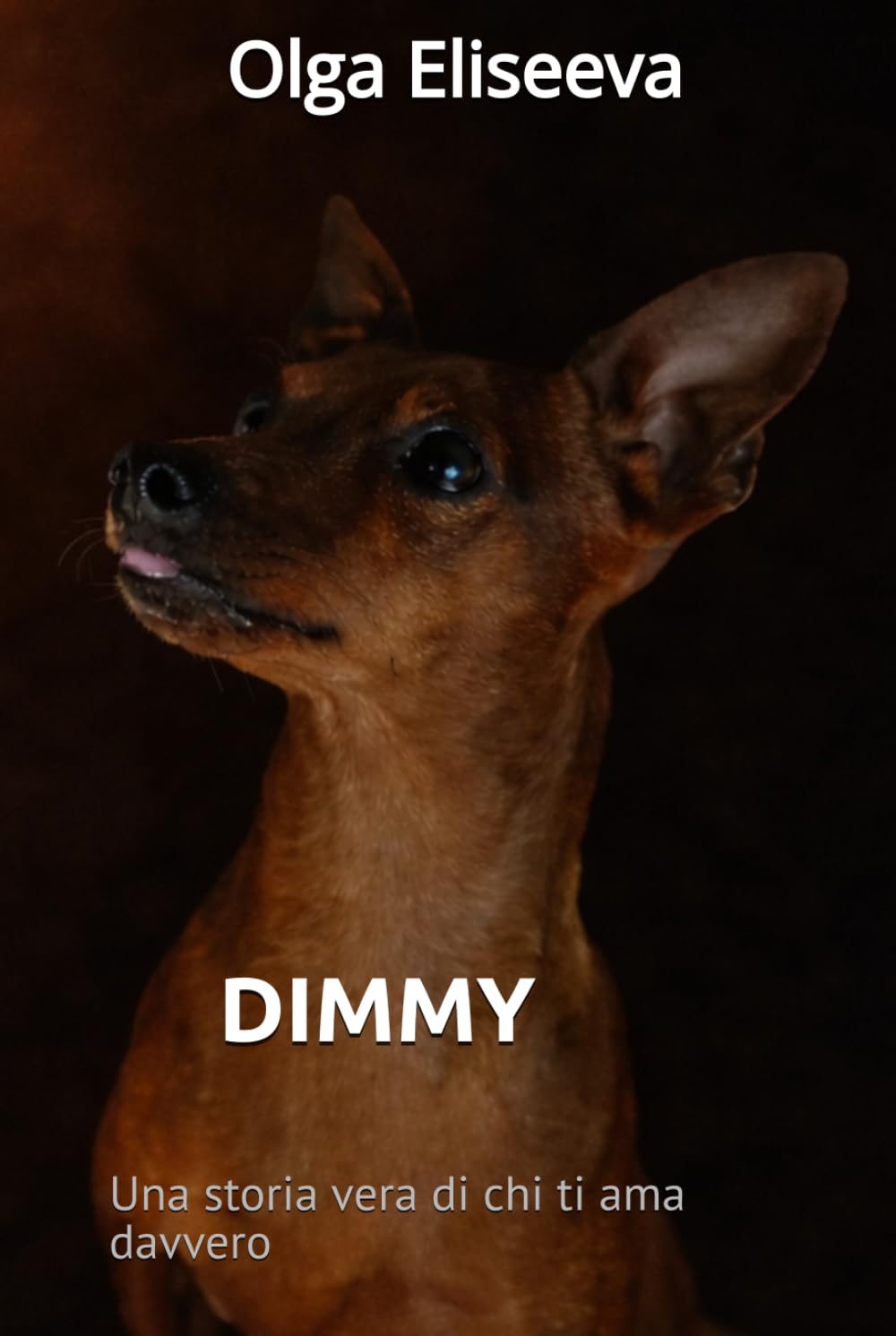 DIMMY: Una storia vera di chi ti ama davvero