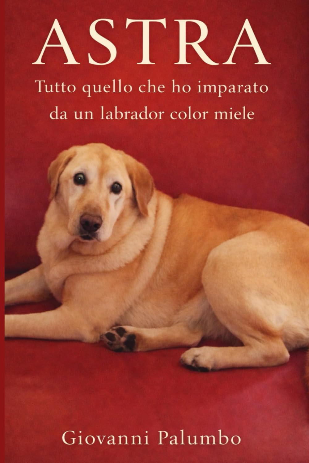 ASTRA: Tutto quello che ho imparato da un labrador color miele