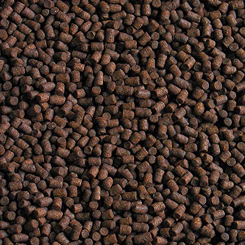 sera Stör Pellets Nature 1000 ml (650 g) - Das natürliche Hauptfutter für kleinere Störe