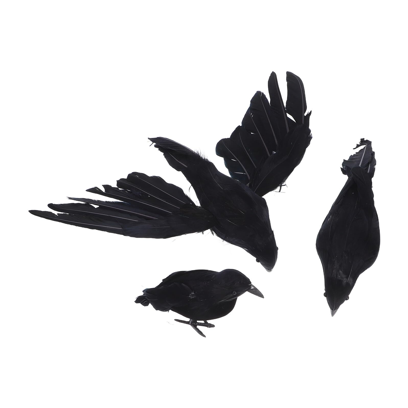 Corbeaux noirs réalistes d'Halloween : finissez-en avec les décors bon marché