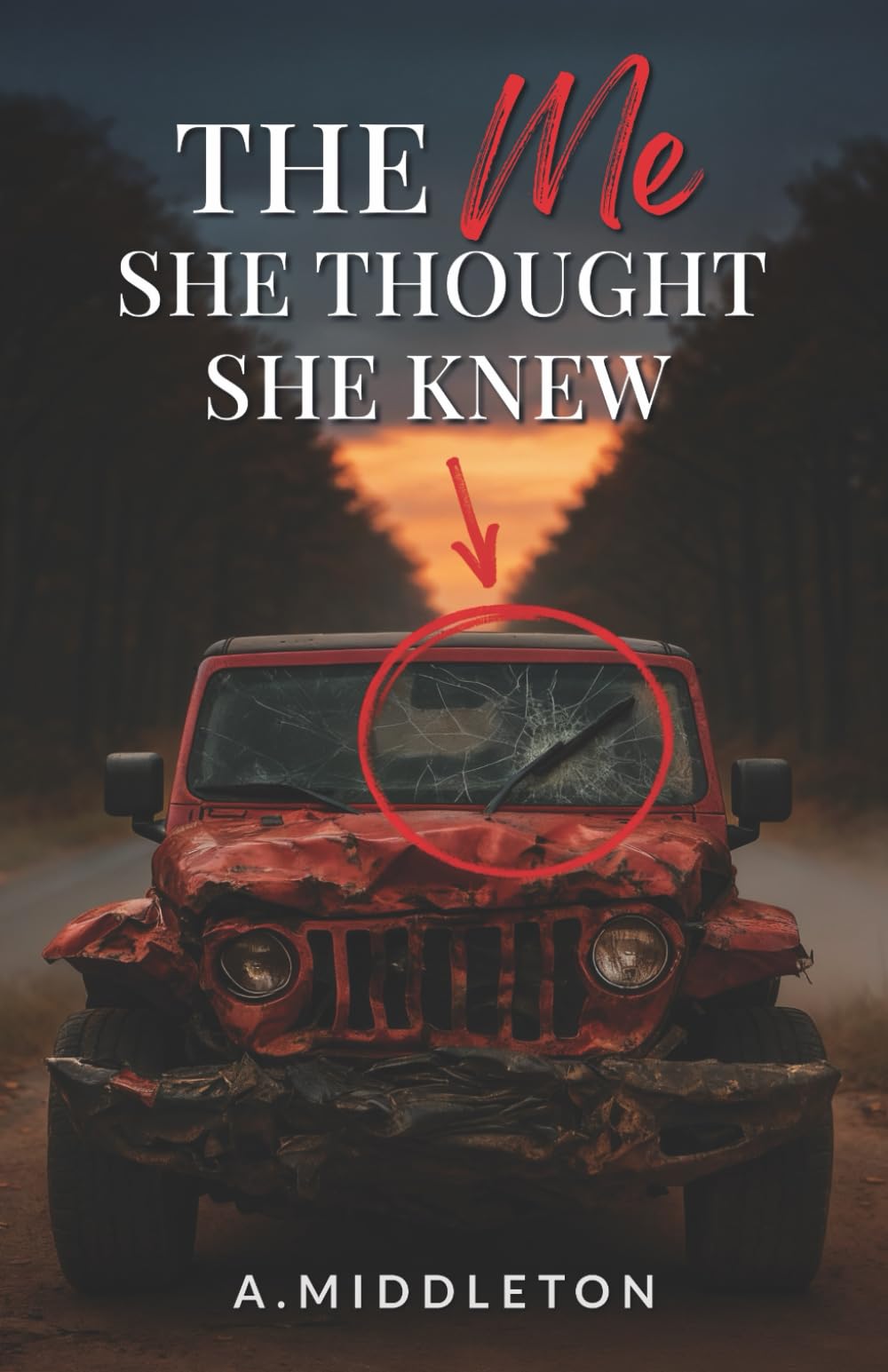 The Me She Thought She Knew (The Me I Never Knew Series)