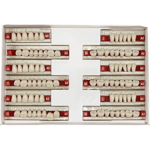 84 Pcs False Teeth Dental Complete Acrylic Resin Denture Teeth, 3 Sets Whole Teeth Synthetic Polymer Denture Tooth, 23 Shade A2 Upper + Lower Dental Materials for Replacement, DIY or Halloween