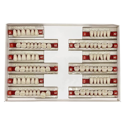 84 piezas de dientes falsos dentales completos de resina acrílica dental, 3 juegos de dientes enteros de polímero sintético, 23 tonos A2 superior +