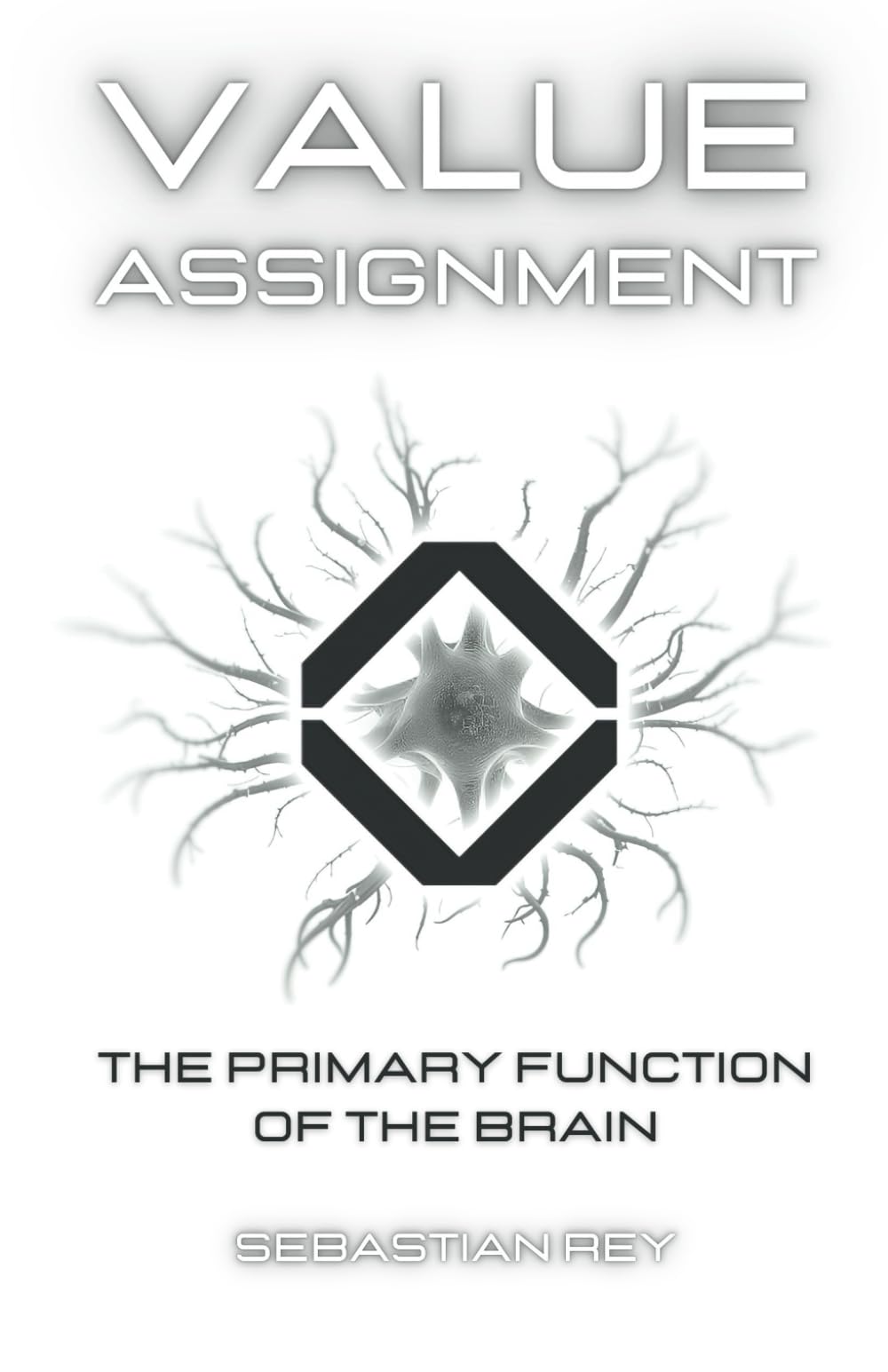 Value Assignment: The Primary Function Of The Brain