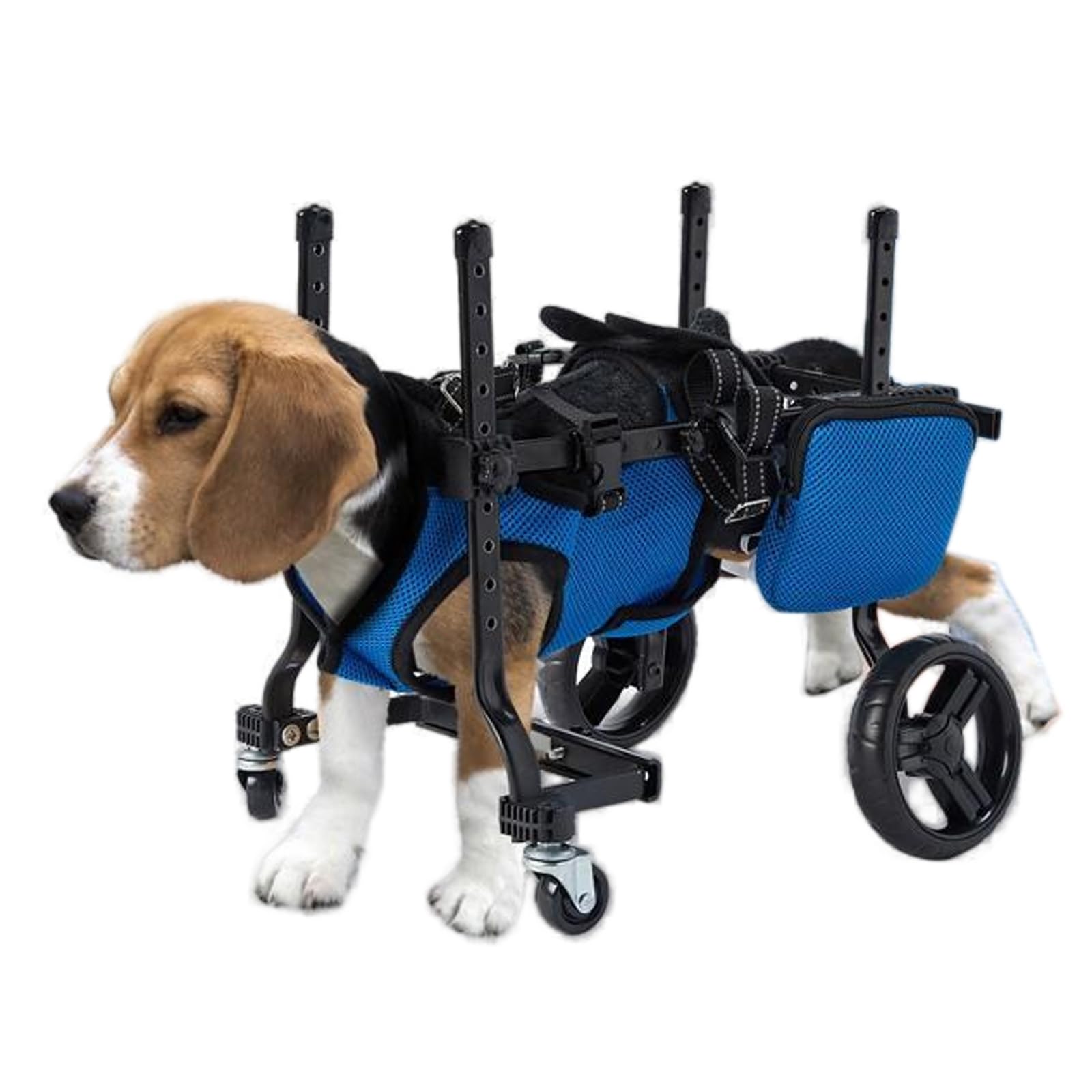 Fauteuil Roulant pour Chien Handicapé : Solution Mobilité Réglable Pattes Arrières