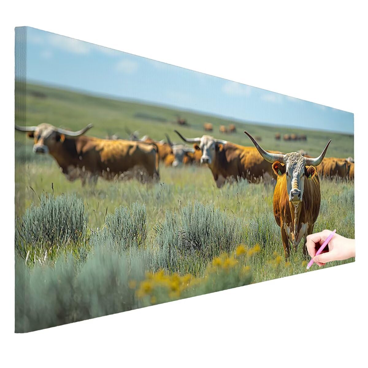 Diamond Painting Groß XXL 120x60cm, Diamond Painting Hochlandrind -0403