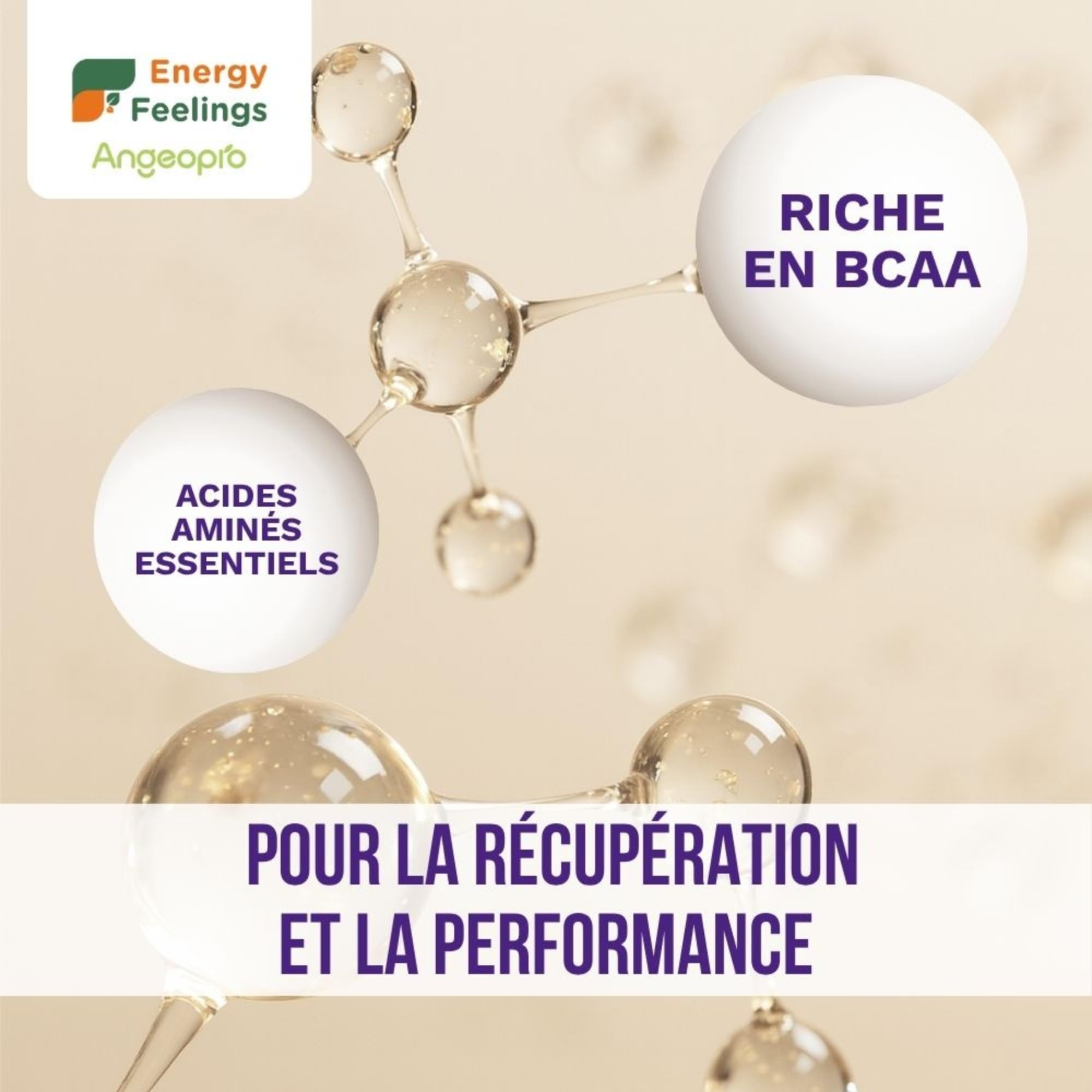 Energy Feelings Protéine Végétale de Levure Nutritionnelle 80%, Vegan Protein Powder, Protéine en Poudre Goût Neutre Sans Sucre Ajouté et Sans Lactose pour Musculation, Naturelle, 1kg