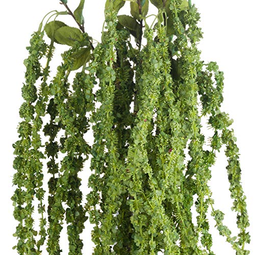 Green Amaranthus, Mixed, 15 x 15 x 100cm - Image 2