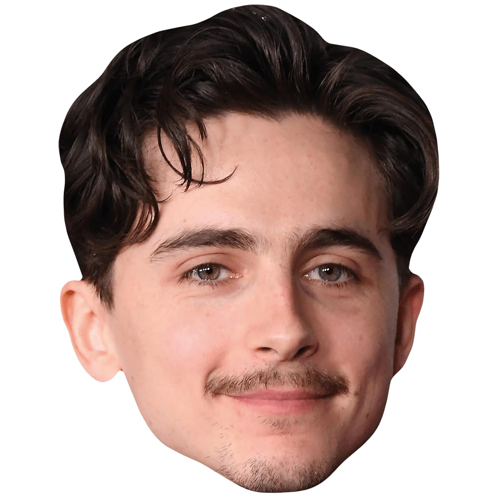 Timothée Chalamet (Moustache) Celebrity Mask, Flat Card Face, Fancy Dress Mask