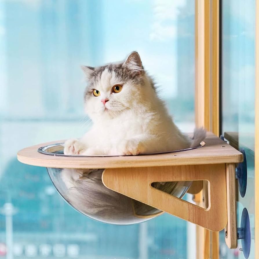 置物 catwalk Amazon.co.jp: Cat House Catwalk Cat Hammock Window Catwalk