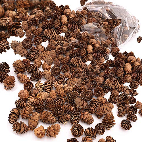 Download Byher Mini Pinecones In Bulk For Fall And Christmas Crafts Approx 450 Small Assorted Sized Pine Cones 2lb Approx 450pcs Wantitall 3D SVG Files Ideas | SVG, Paper Crafts, SVG File