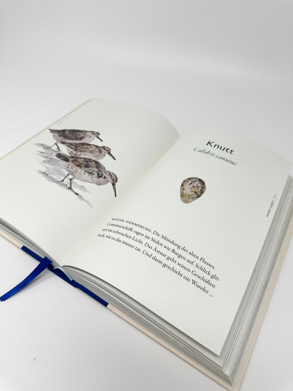 Das Buch der Vögel: Eine brillante Hommage an die Welt der Vögel