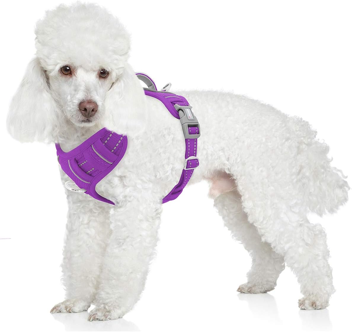 BARKBAY No Pull Dog Harness Front Clip Heavy Duty