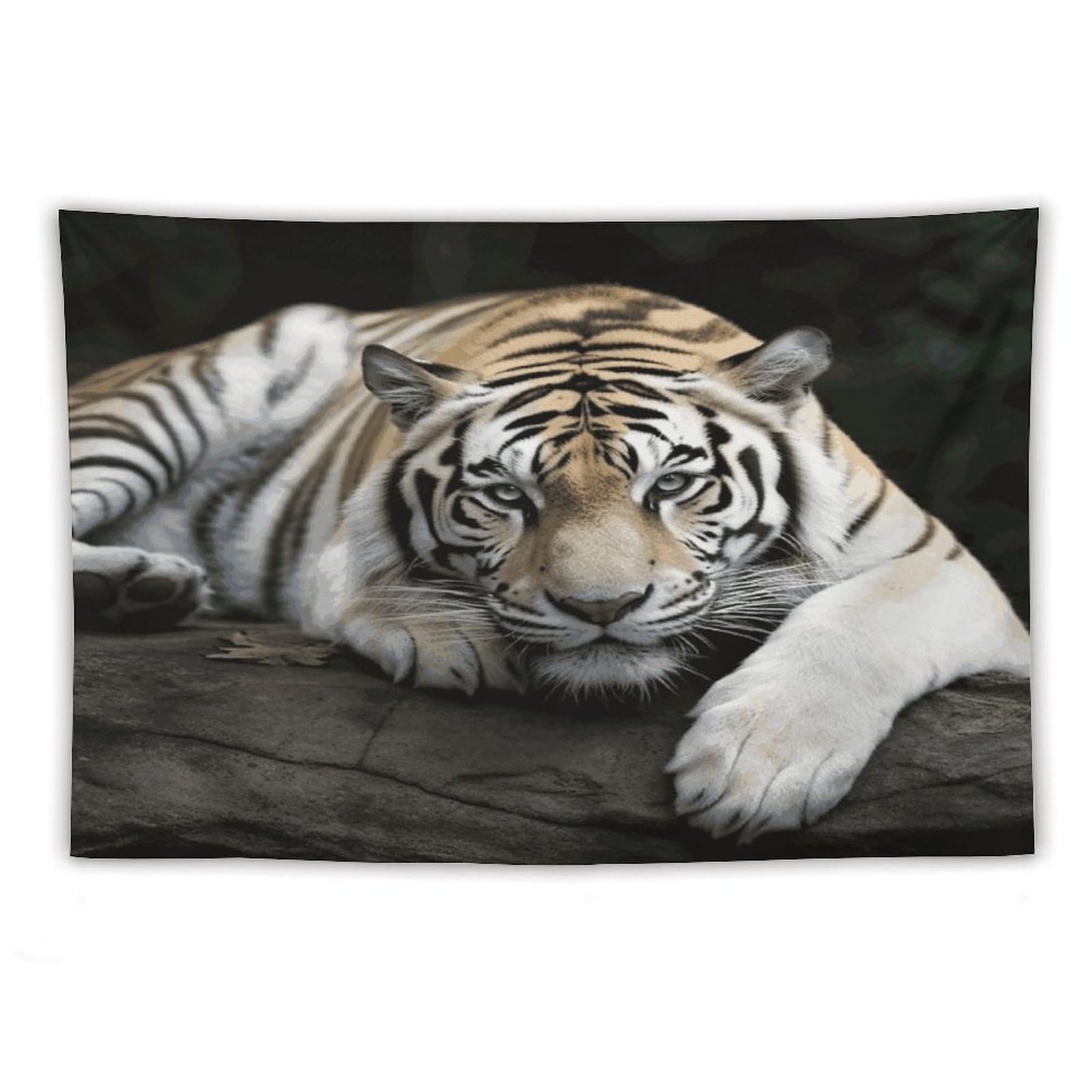 LDGSUPH Tiger Lie On Rock Tapestry Wall Hanging Decor Anti-fading Aesthetic Wall Tapestries Fashion Wall Blanket Decor Modern Wall Art Tapestry for Bedroom Home Decor 60"x90"