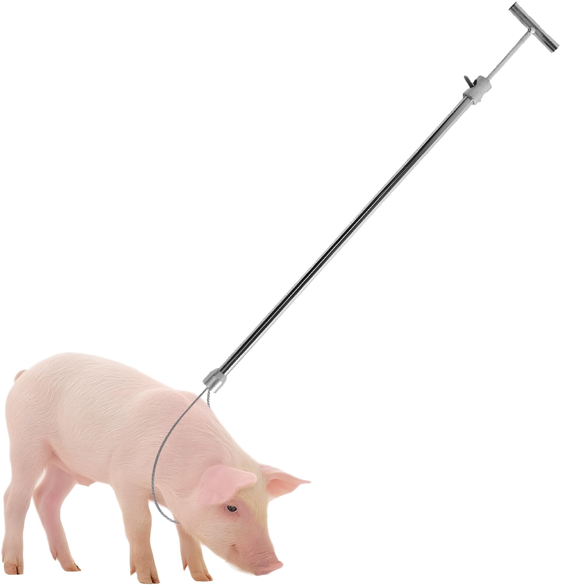 Schweinefangstange Edelstahl Tier-Fixierhilfe verstellbar 67-114cm | Ergonomischer Griff für Einhandbedienung robuste 4mm Drahtschlaufe sichere und stressfreie Fixierung bei der Behandlung