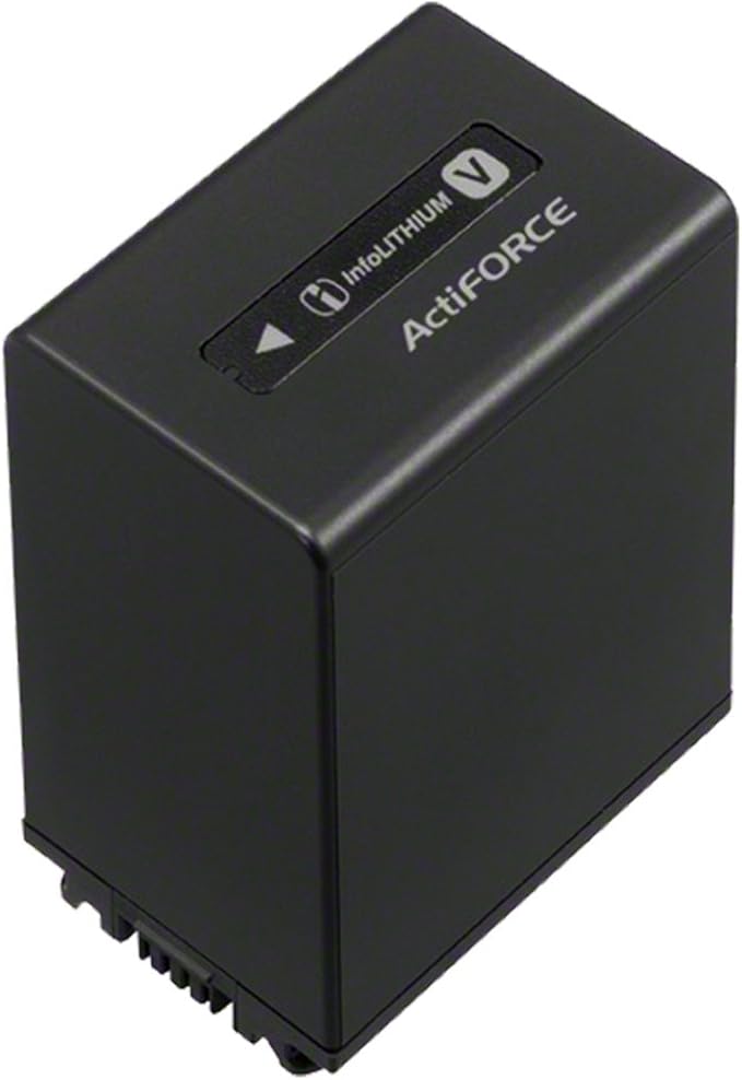 Mspalocell NP-FV100A 2 Pack Mspalocell NP-FV100 Batteries 2-Pack