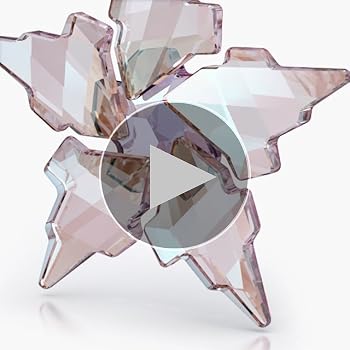 Amazon.com: SWAROVSKI Limited Edition 30th Anniversary