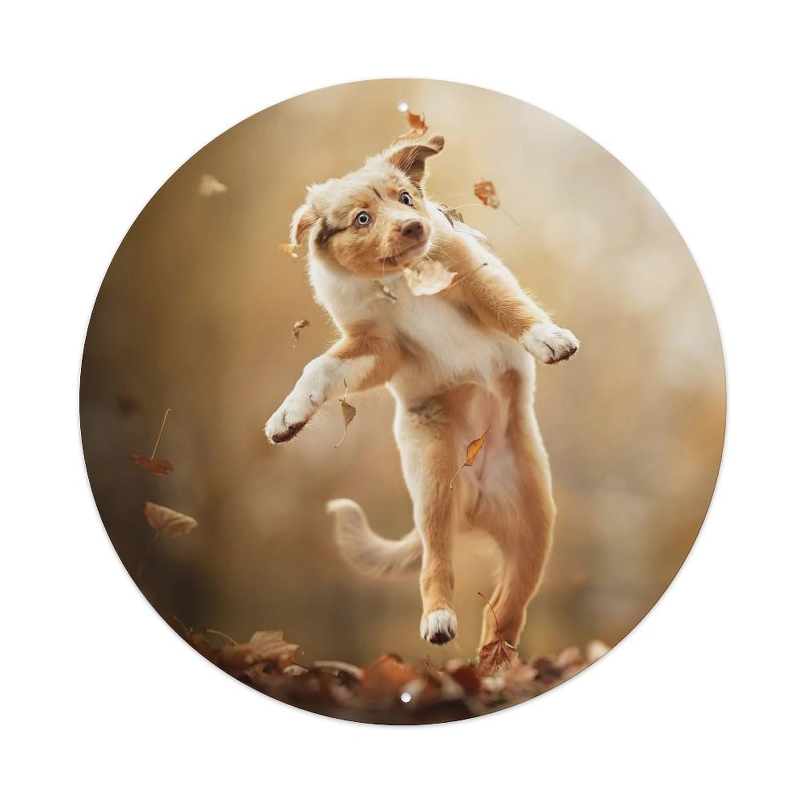 Animal Australian Shepherd Puppy Autumn Forest Jumping Leaves Vintage Metal Tin Sign Plaque Wall Decor for Cafe, Club Bar, Office, Garden Metal Poster 8x8Inch