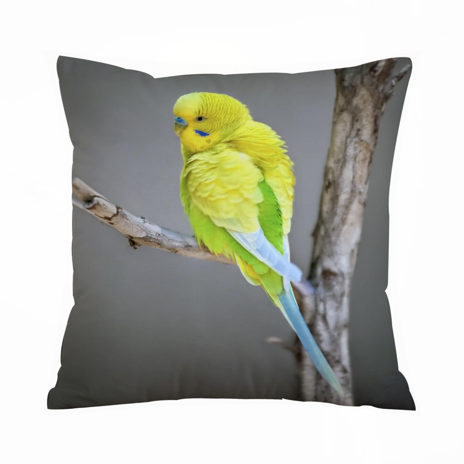 ERRTU Throw Pillow Case Pillowcase Square Printed Cushion Cover for Living Room Sofa Couch Bed Car,Yellow parakeet on a branch budgerigar,16x16 in