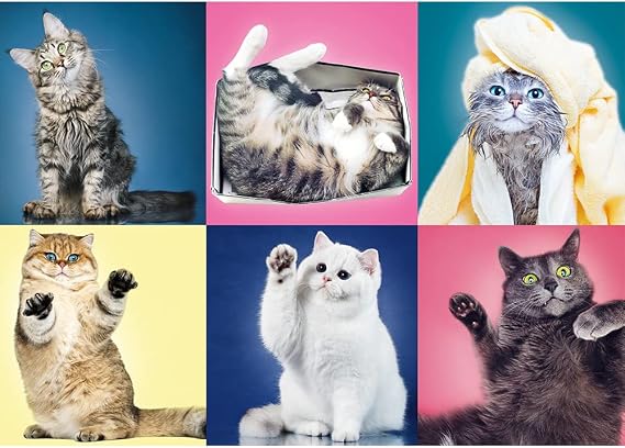 TREFL 500 Piece Jigsaw Puzzle, Kittens, Silly Pets, Cat Collage, Adult Puzzles, Trefl 37377