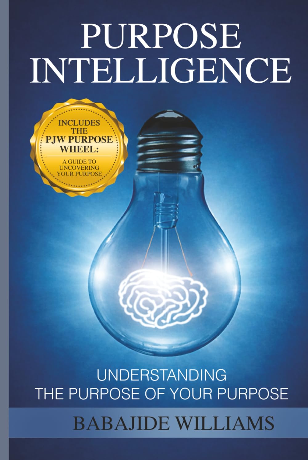 PURPOSE INTELLIGENCE: UNDERSTANDING THE PURPOSE OF YOUR PURPOSE