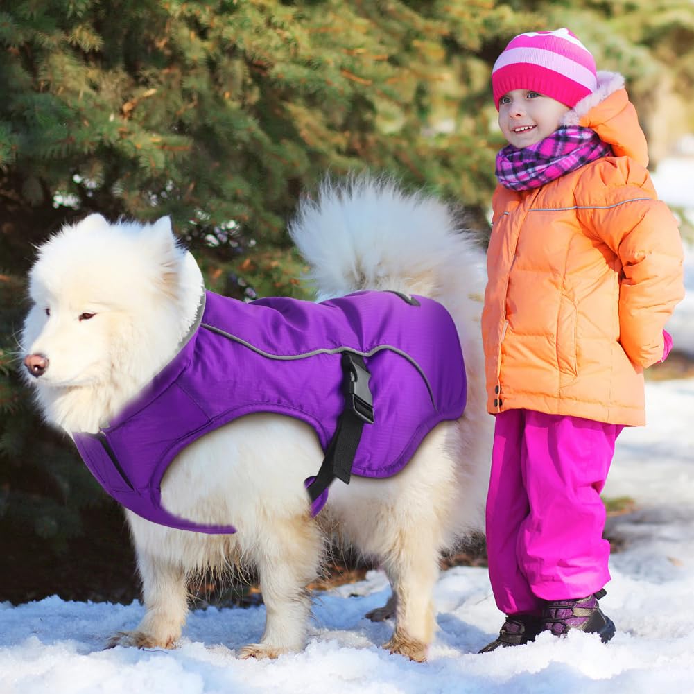 EMUST Abrigo de invierno para perro, chaqueta de nieve impermeable para perro, abrigo ajustable para perros pequeños/medianos/medianos para invierno, morado, L