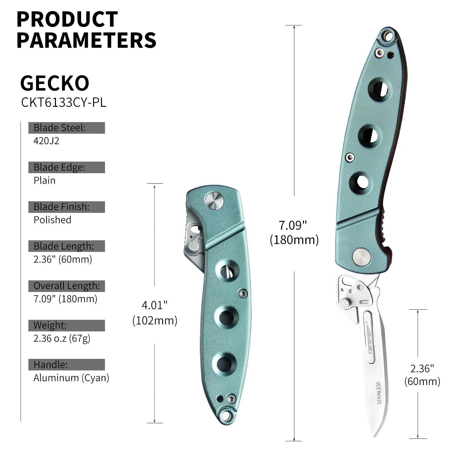 TONIFE Navaja de Bolsillo, EDC cuchillo plegable con clip de bolsillo Mosquetón Funda de nylon y 5 hojas intercambiables, para la supervivencia al aire libre Pesca Senderismo (Cian)