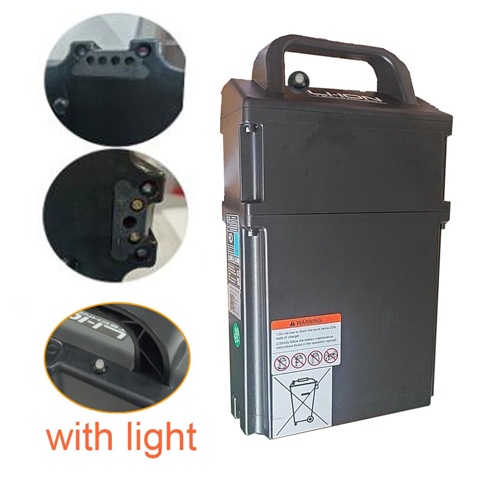 Batteria per Carrello elevatore Elettrico da 24 V 20 Ah, batterie al Litio per transpallet da 24 Volt con Maniglia per Motore di impilatore per Camion.,with Light
