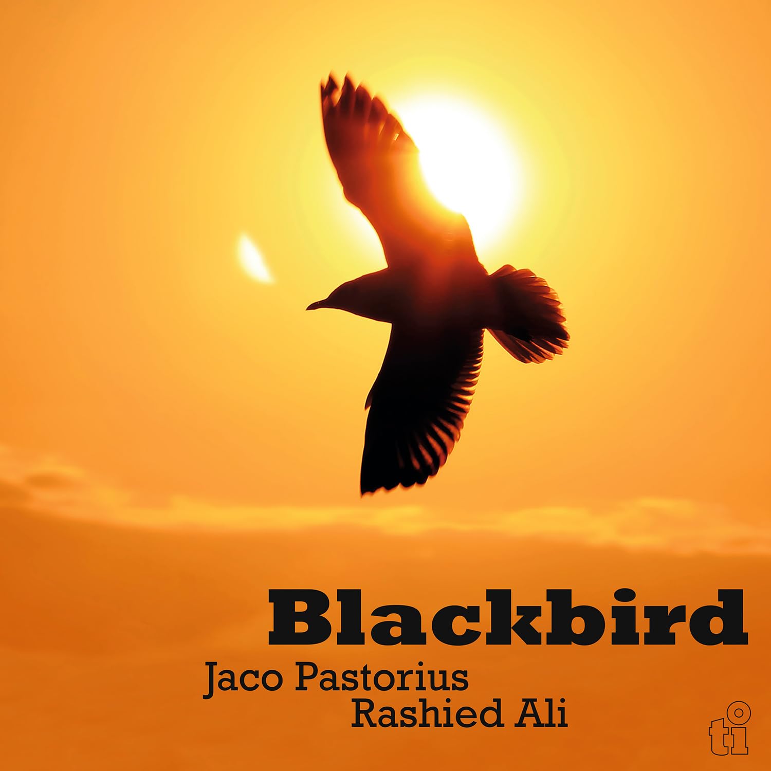 Blackbird [VINYL]