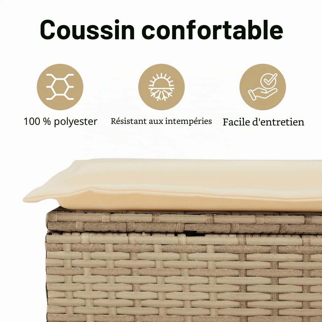 vidaXL Canapé de Jardin avec Coussins 2 Places, Siège avec Housse, Meuble de Terrasse Patio Balcon Extérieur, Beige Résine Tressée