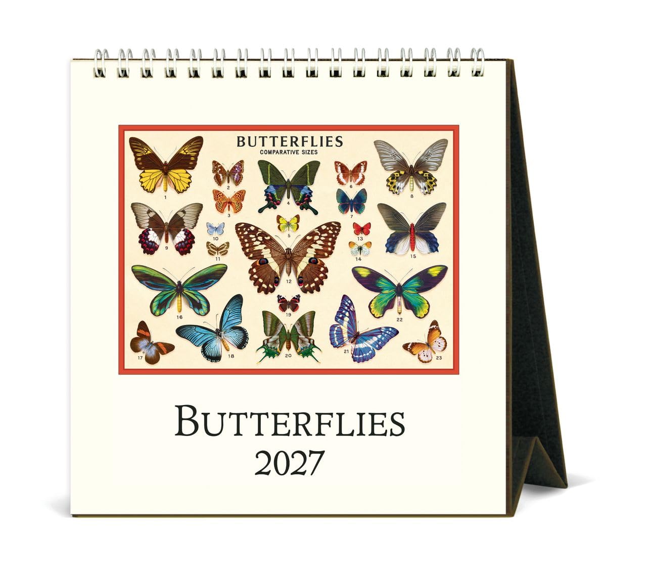 Cavallini 2027 Butterflies Easel Desk Calendar, 6x6.5 Inches, 12 Month
