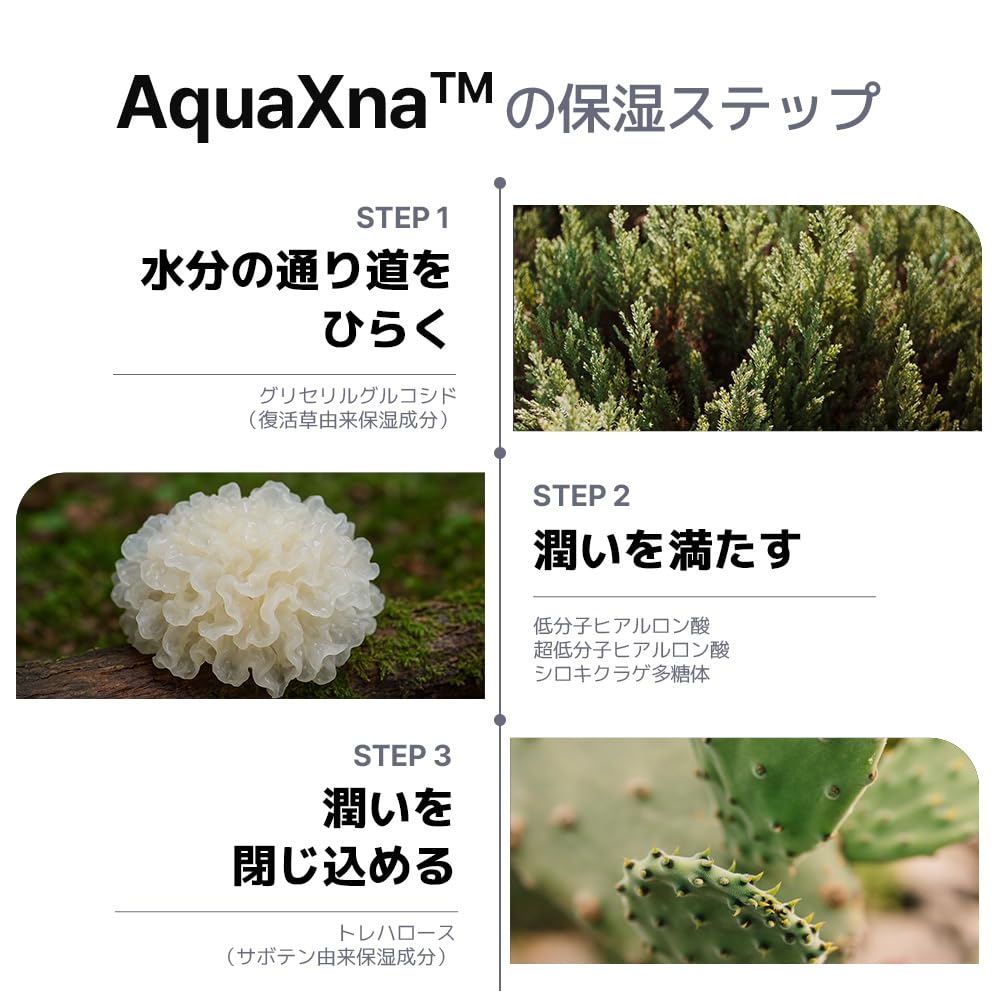 Amazon | naxna ディープモイスチャーセラム 50ml 美容液 セラム 韓国