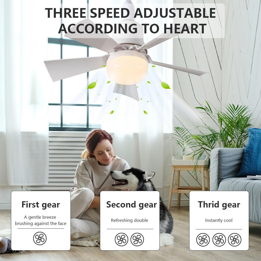 ZOYDP Ceiling Fans with Lights and Remote Control, 30w Ceiling Fan Light, E27 Base Screw, 3 Colors 3000K-6000K Dimmable - Image 4