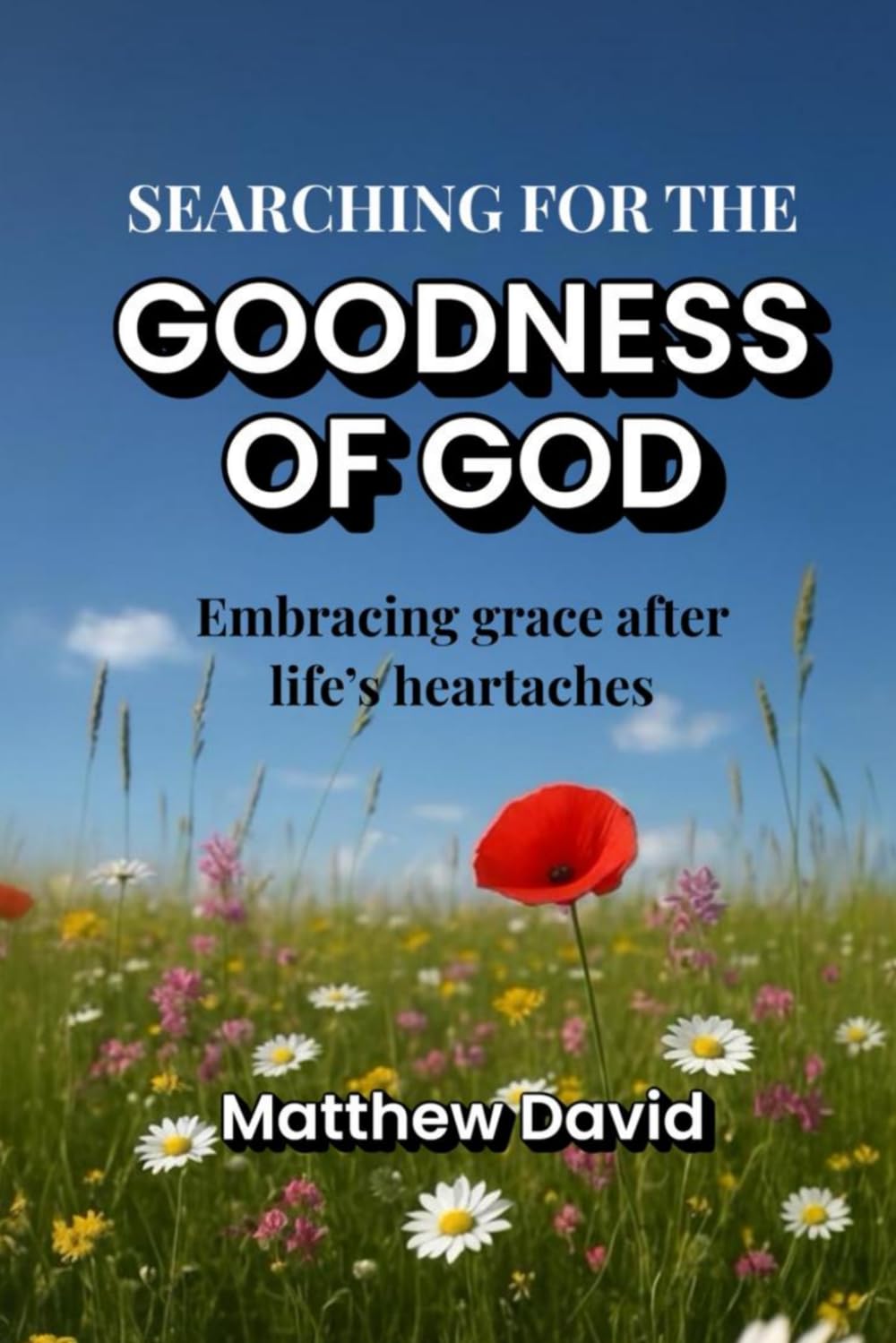 SEARCHING FOR THE GOODNESS OF GOD: EMBRACING GRACE AFTER LIFE'S HEARTACHES