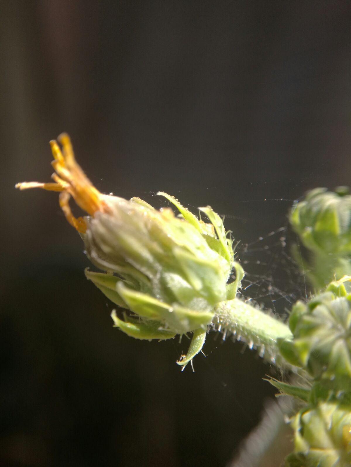 Immagine del cliente