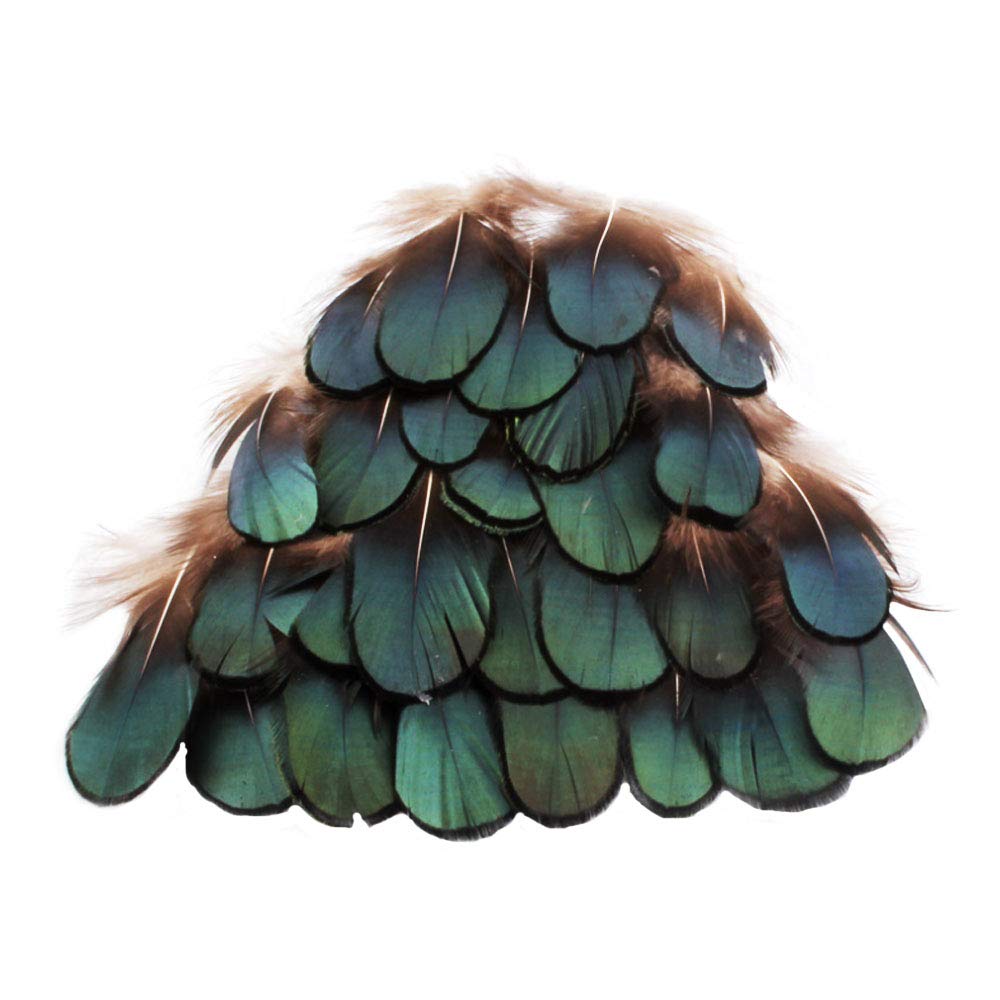 Ximimark 60Pcs Green Bronze Iridescent for DIY Wedding Sewing Crafts Costumes Decoration