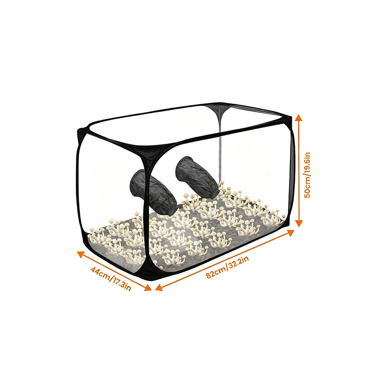 Sarini Mushroom Cultivation Still Air Box - Faltbare Transparente Pilz Wachsen Zelt Kit, Growing Kit Box Mit Handschuhen, Portable Grow Bag (90 X 60 X 60CM)