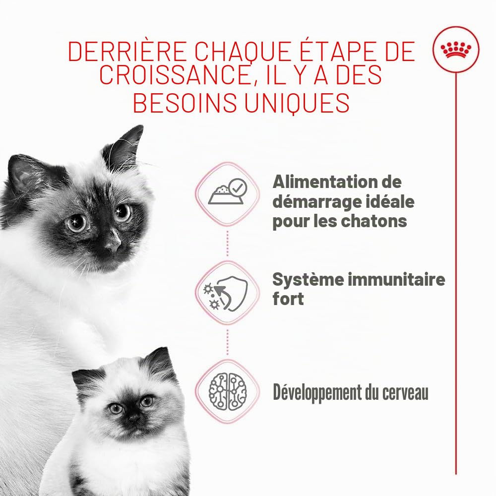 Royal Canin Mother & Babycat Mousse 12 x 195 g Aliment Complet pour Chats