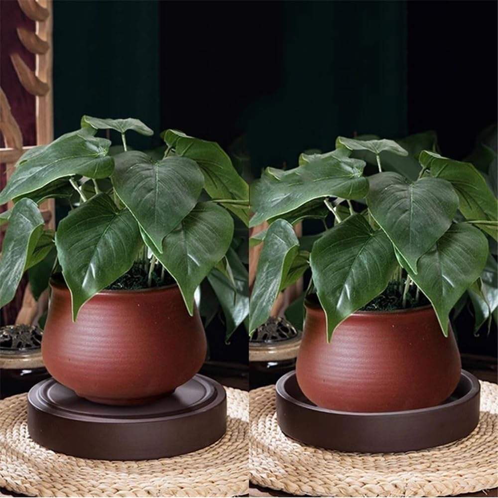 Versatile Sottovaso Rotondo for Fiori a Doppio Uso for Interni ed Esterni(M)