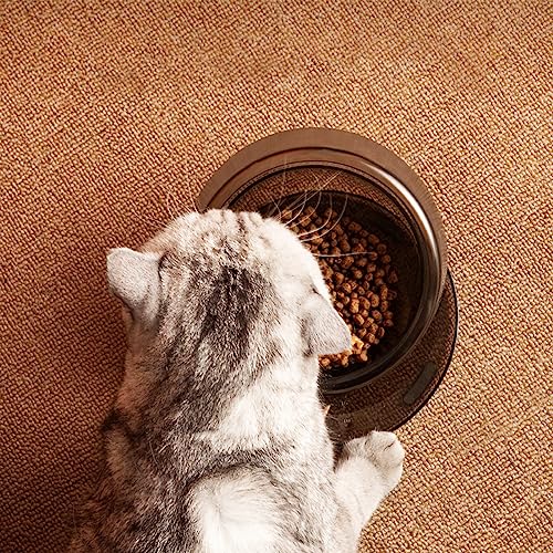 Cuenco de comida para mascotas de 420ml negro con ángulo ajustable para perros y gatos 5