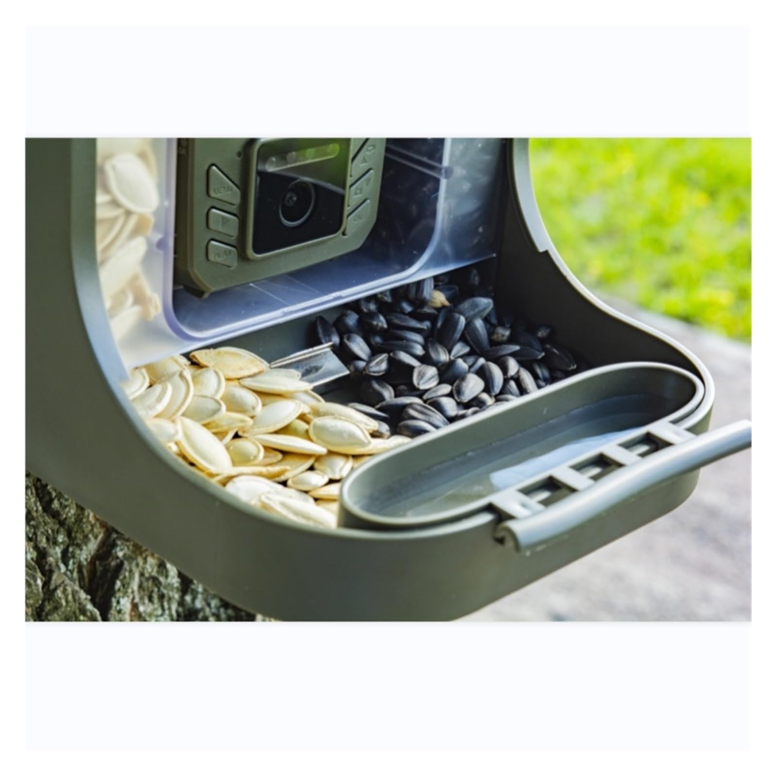 Visione Notturna A Infrarossi Telecamera For Osservazione Di Piccoli Animali For Uccelli Fotocamera For Sentieri BC-303 Che Alimentano 24MP 1080P 30 Registrazione Video Nitida
