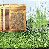 Live Aquarium Plant Seeeds Set, 3 Bags Fish Tank Fresh Water Live Aquatic Carpet Grass Dwarf Mini Tiny Leaves (0.7oz Tiny-Leaf + 0.36oz Long Hair) 2-1…