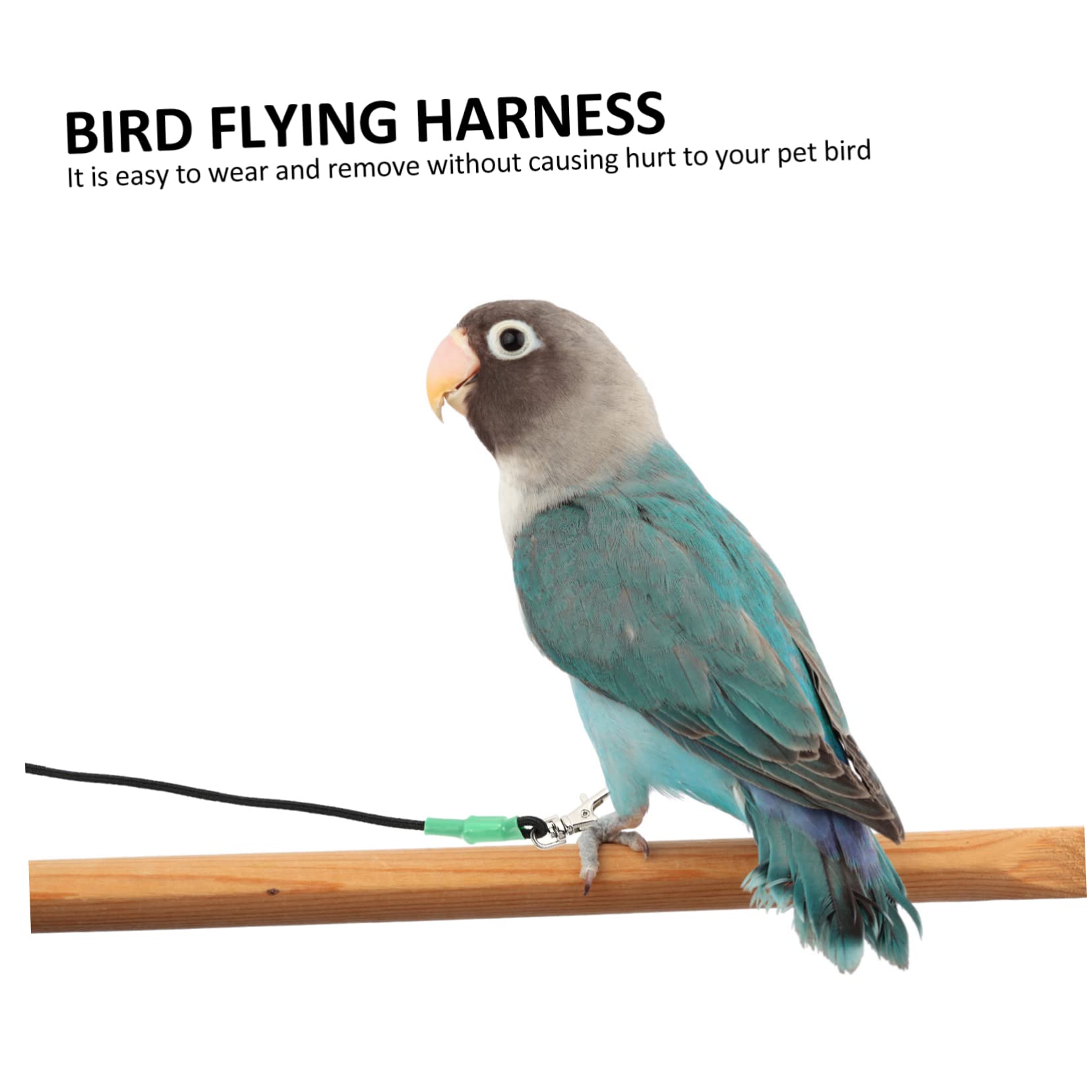 2 Cuerdas De Tracción para Pájaros, Correas para Loros, Cuerdas para Caminar, Correas para Mascotas, Arnés para Pájaros, Correas para Entrenamiento De Pájaros, Cuerdas para Volar,